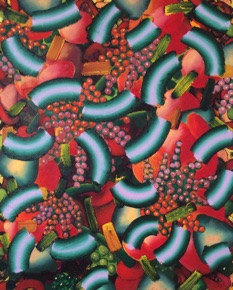 Fruit for Birds,
Oil, 45 x 35cm Fruit for Birds,
Oil, 45 x 35cm
