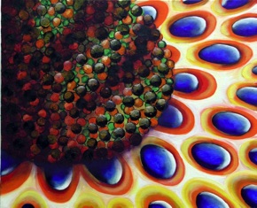 Peacock snail slime
Oil 40 x 50 Peacock snail slime
Oil 40 x 50